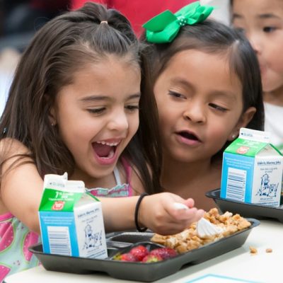 Pixie Blossom Toddler Club